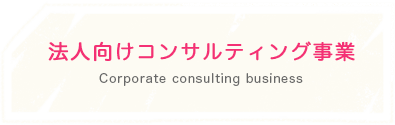 法人向けコンサルティング事業 Corporate consulting business